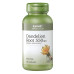 GNC Herbal Plus Dandelion Root 550 mg 蒲公英根 (100顆膠囊)